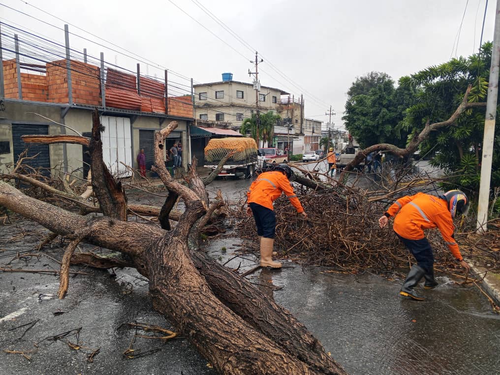 Sistema de Gestión de Riesgos se despliega en Lara tras afectaciones por precipitaciones