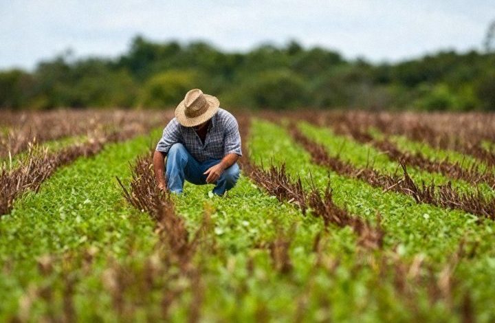 Padrino López priorizará la producción nacional y el impulso de la agroindustria