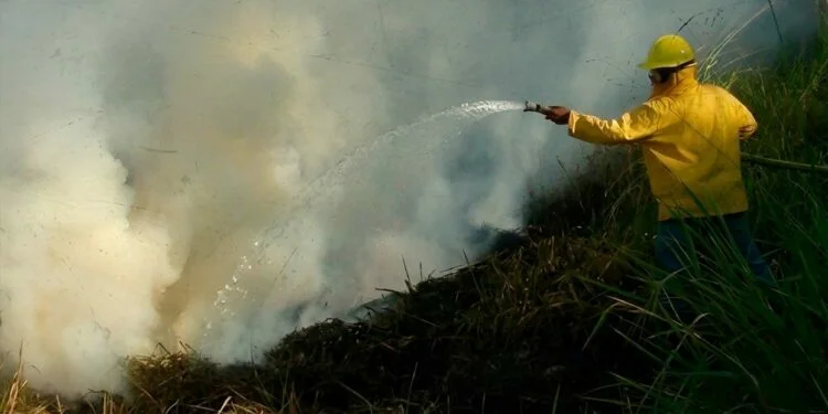 Venezuela registro 549 incendios forestales menos en comparación al periodo anterior