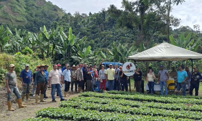 Entregan 50.000 plantas de café a productores del municipio Campo Elías en Trujillo