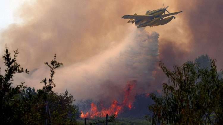 El Papa León XIV pide oraciones por las víctimas de los incendios en Francia y España