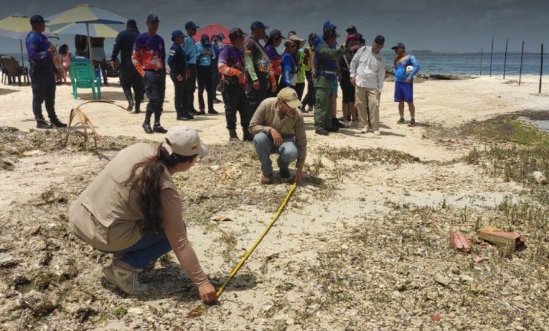 Funvisis ejecuta estudios geológicos en La Guaira y Carabobo tras los eventos sísmicos