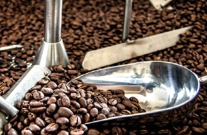 Café y cacao lideran las exportaciones venezolanas