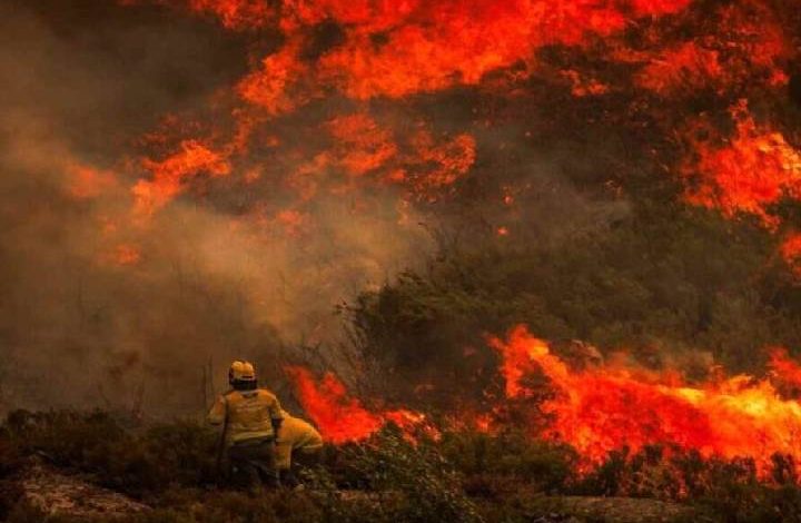 Portugal despliega dispositivo de emergencia con 900 efectivos para combatir incendio forestal