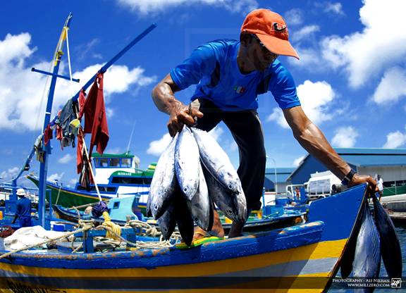 Pesca artesanal consolida la infraestructura productiva y genera hasta el 90 % de la producción nacional